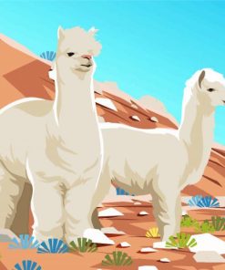 Illustration Desert Alpacas Paint By Number