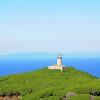 Isola Del Giglio Lighthouse Paint By Number