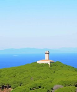 Isola Del Giglio Lighthouse Paint By Number