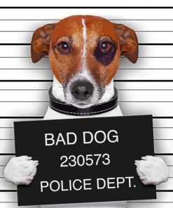 Jack Russell Mugshot Paint By Number