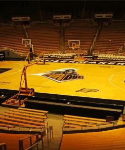 Mackey Arena Basketball Stadium Paint By Number