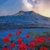 Mt St Helens With Red Poppies Paint By Number