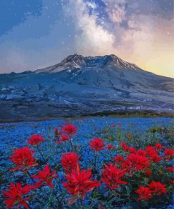 Mt St Helens With Red Poppies Paint By Number