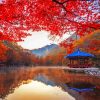 Naejangsan Mountain Autumn Asia Paint By Number