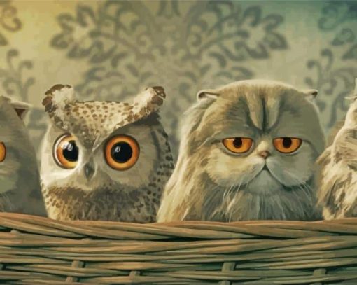 Owl And Cats Paint By Number