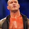 Randy Orton Paint By Number