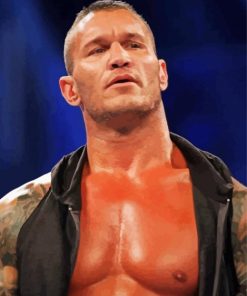 Randy Orton Paint By Number