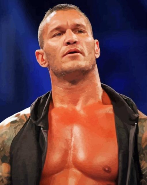 Randy Orton Paint By Number