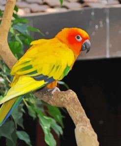 Red And Yellow Bird Paint By Number