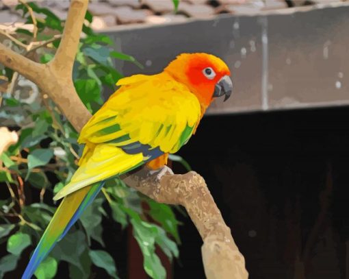 Red And Yellow Bird Paint By Number