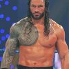 Roman Reigns Wrestler Paint By Number