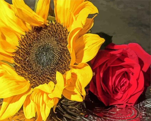 Rose And Sunflower Paint By Number