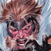 Sabretooth Paint By Number