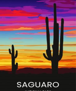 Sunset Saguaro National Park Art Paint By Number