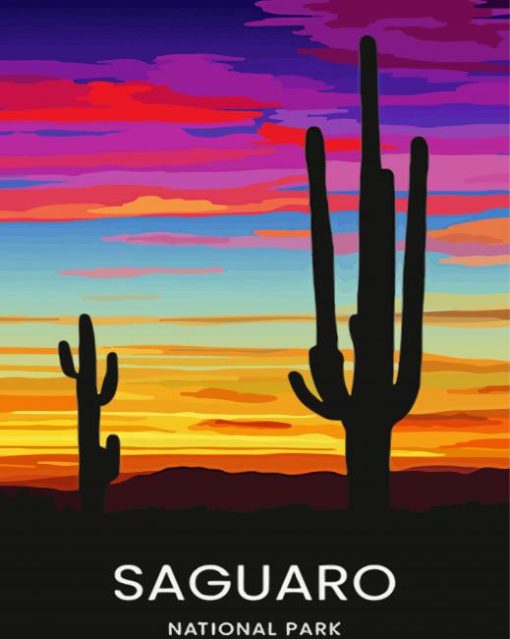 Sunset Saguaro National Park Art Paint By Number