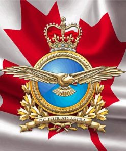 The Canadian Air Force Paint By Number