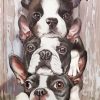 Three Boston Terriers Paint By Number