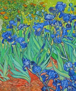 Van Gogh Iris Paint By Number