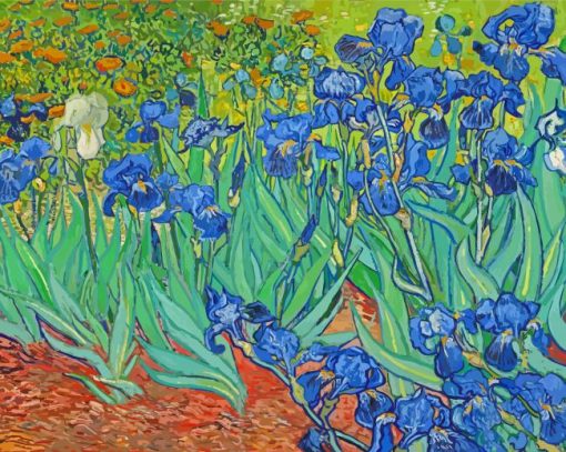 Van Gogh Iris Paint By Number