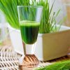 Wheatgrass Juice In Glass Paint By Number