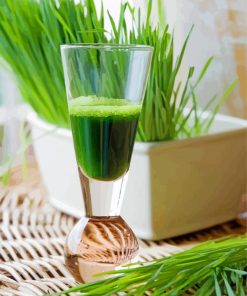 Wheatgrass Juice In Glass Paint By Number