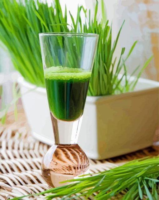 Wheatgrass Juice In Glass Paint By Number