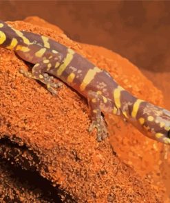 Wild Desert Gecko Paint By Number