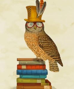 Wise Owl Bird On Books Paint By Number