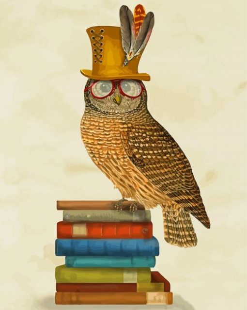 Wise Owl Bird On Books Paint By Number