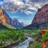 Zion National Park Paint By Number