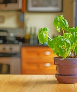 Aesthetic Basil In Pot Paint By Number