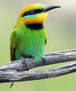 Aesthetic Bee Eater Paint By Number