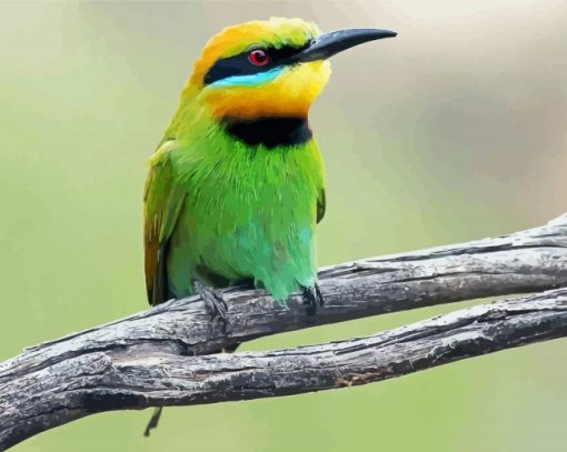 Aesthetic Bee Eater Paint By Number