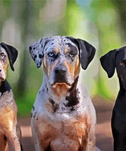 Aesthetic Catahoula Dogs Paint By Number