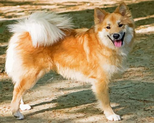 Aesthetic Icelandic Sheepdog Paint By Number