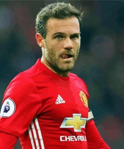 Aesthetic Juan Mata Paint By Number