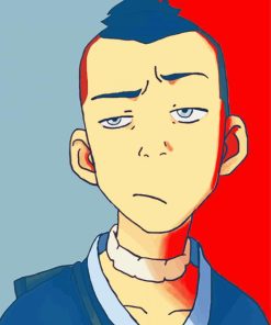 Aesthetic Sokka Illustration Paint By Number