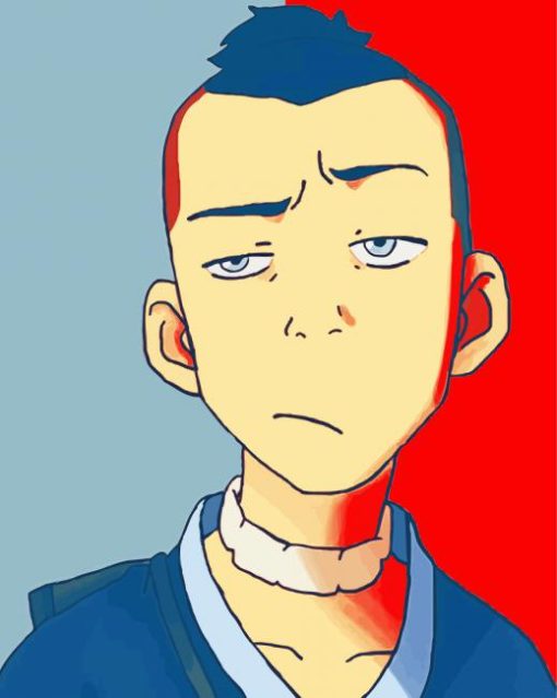 Aesthetic Sokka Illustration Paint By Number