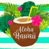 Aesthetic Aloha Hawaii Paint By Number