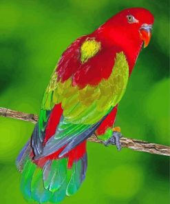 Aesthetic Lory Bird Paint By Number