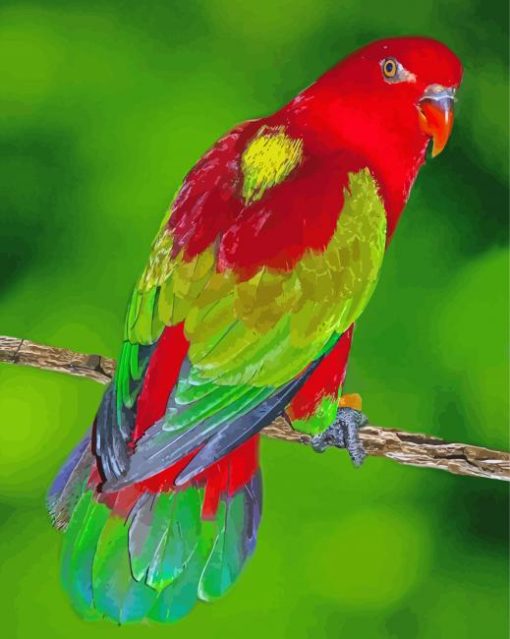 Aesthetic Lory Bird Paint By Number