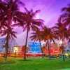 Aesthetic South Beach View Paint By Number