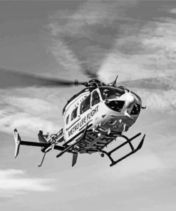 Black And White Lifeflight Paint By Number