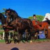 Black Horses Pulling Wagon Paint By Number