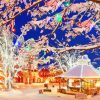 Christmas In Leavenworth Paint By Number