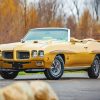 Classic Pontiac 1970 Gto Paint By Number