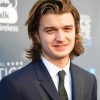 Classy Joe Keery Paint By Number