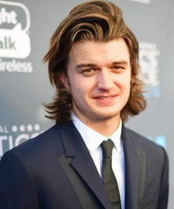 Classy Joe Keery Paint By Number