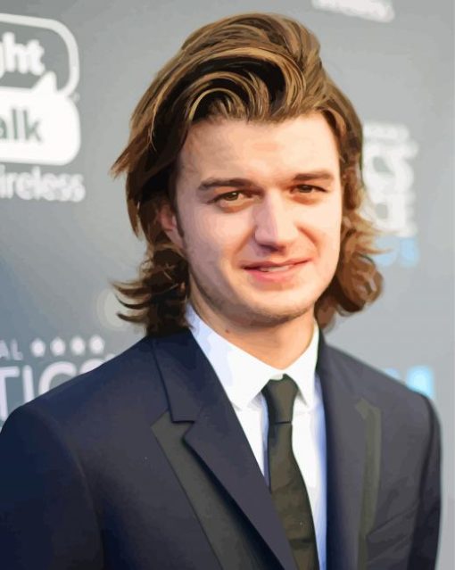 Classy Joe Keery Paint By Number