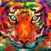 Colorful Tiger Look Paint By Number